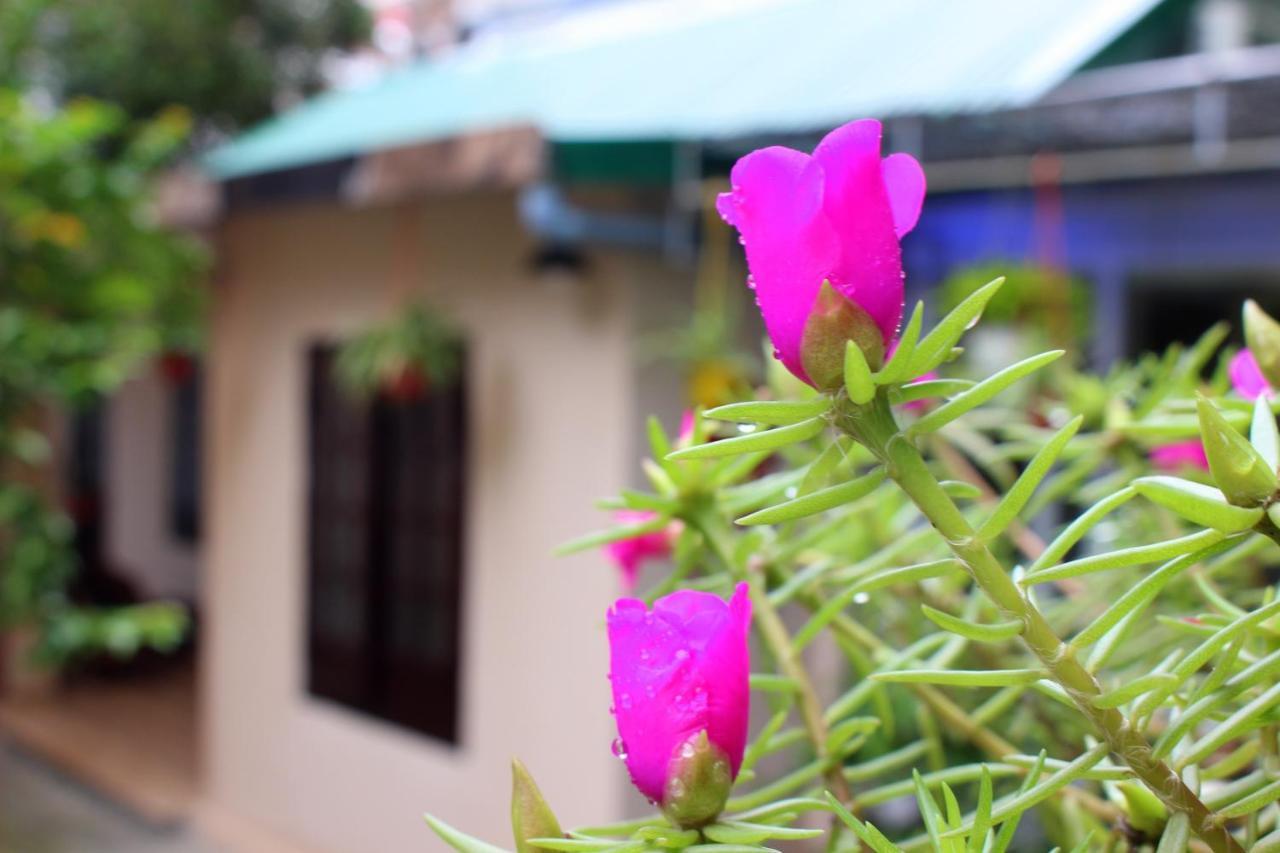 Homestay Minh Tu Huế Kültér fotó